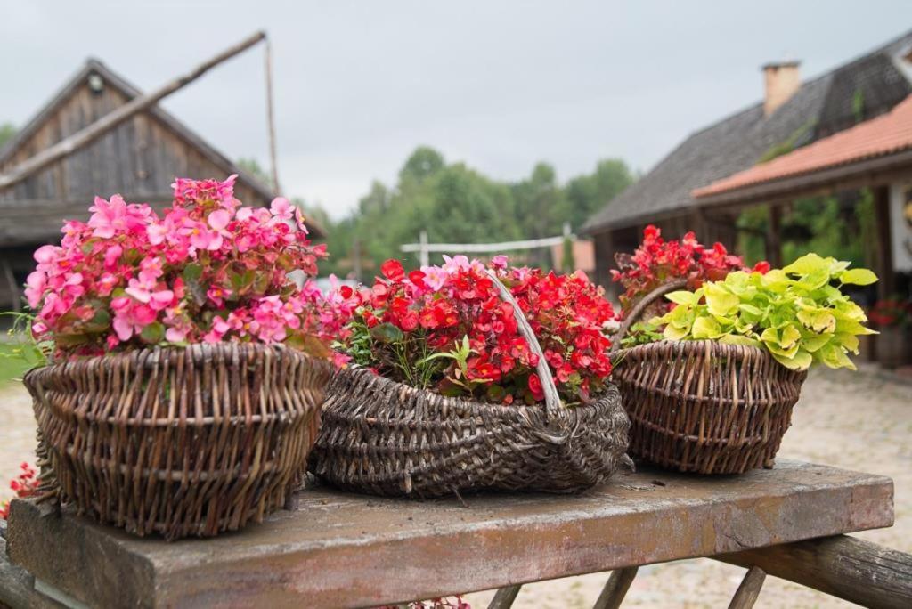 Gosciniec Folwark Nadawki Bed and Breakfast Sienkiewicze Buitenkant foto